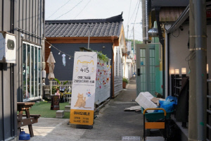 [속초소식] '이재민 마을에서 관광지로'…새마을 도시재생 성과