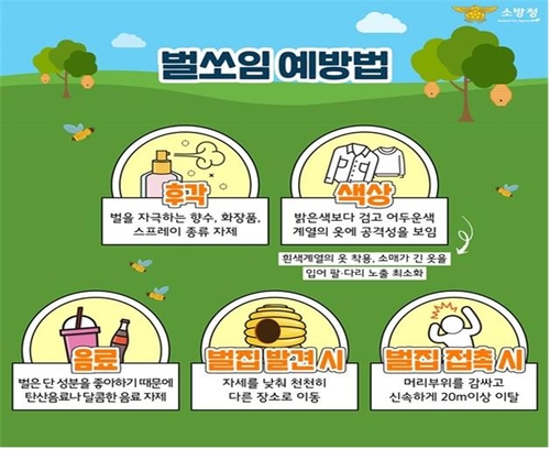 원주소방서, 벌집 제거 출동 증가세…벌 쏘임 사고 '주의'