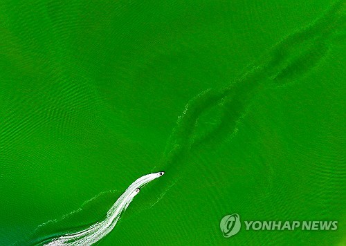 낙동강 녹조경보 개선…'수돗물 취수구' 근처 조사해 당일 발령