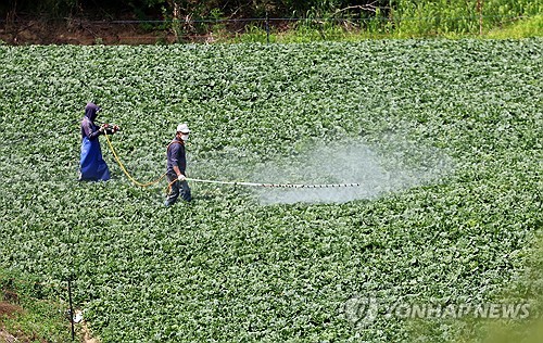 농식품부, 농업인·전문가와 'K-농정 협의체'…국정과제 논의