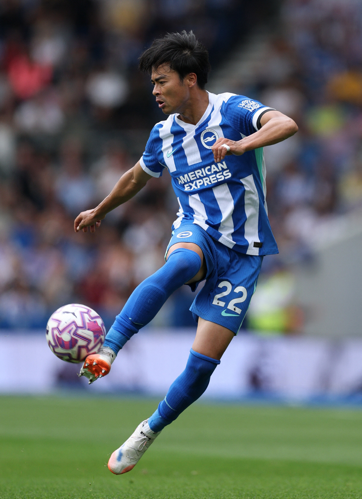 손흥민, 벌써 그립습니다…"'EPL=韓'은 옛말, 日 전세역전" EPL …
