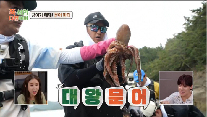 '푹다행' 이대호·이대은·이대형이 끌어올린 문어…'이것'이 피로회복·성인…
