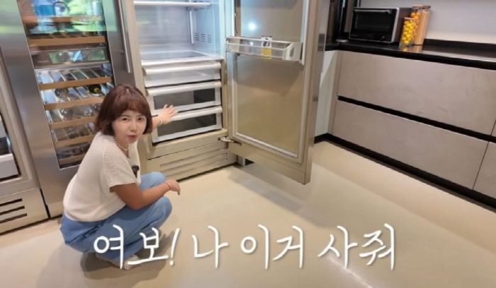 '연 100억 매출' 황혜영, 5천만원 냉장고에 '욕심'…"♥여보 이거 …