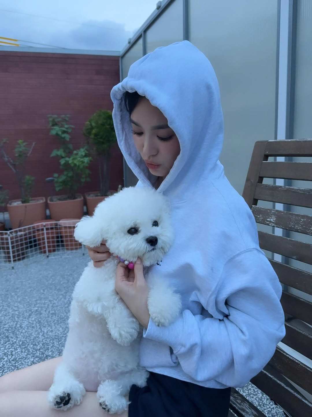 송혜교, 민낯에 팩+집게핀까지...대충 해도 '시선 강탈' 미모