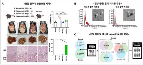 혈액 속 마이크로RNA, AI로 학습시켜 간암 조기 진단