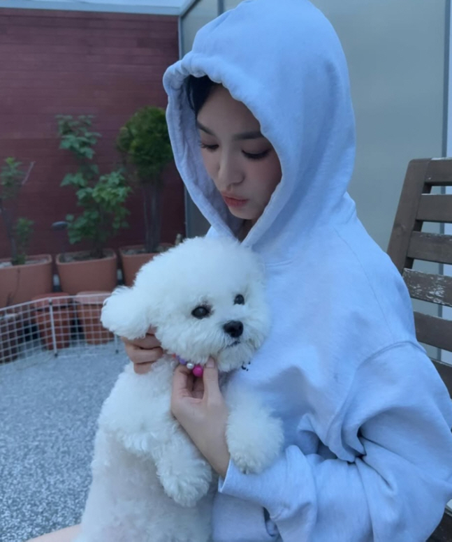 [SCin스타] “인형이 따로 없네” 송혜교, 후드티 뒤집어써도 빛나는 미모