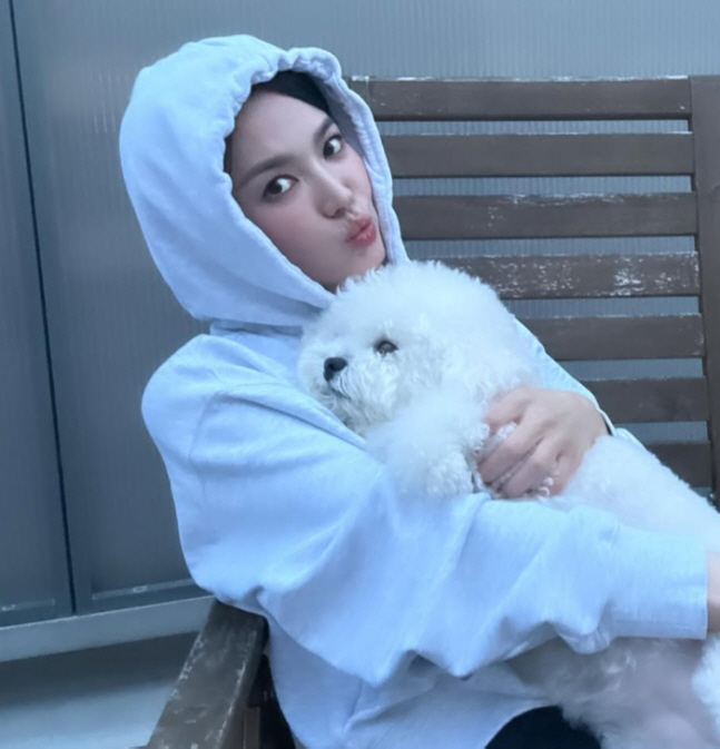 [SCin스타] “인형이 따로 없네” 송혜교, 후드티 뒤집어써도 빛나는 …