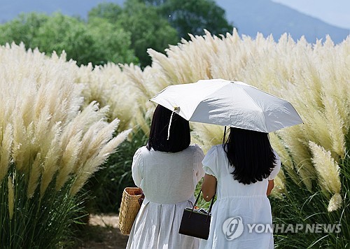 [팩트체크] '처서 매직'은 그저 희망사항…"앞으로도 실현 힘들어"