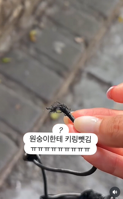 ‘유상무♥’ 김연지, 발리 여행 중 도난 피해..범인은 원숭이 “킹받네”
