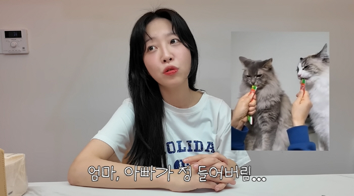쯔양, 반려묘 유기 의혹 해명 "다시 데려오기 미안..이사 후 함께 살 …