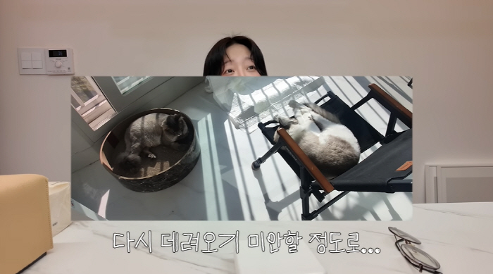쯔양, 반려묘 유기 의혹 해명 "다시 데려오기 미안..이사 후 함께 살 …