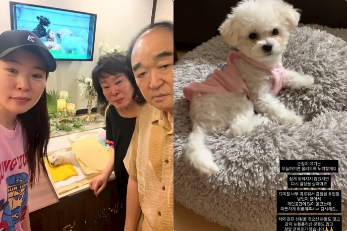 미자, 참아온 눈물 폭발 "가슴이 갈기갈기 찢기는 아픔, 견딜 수 없어"