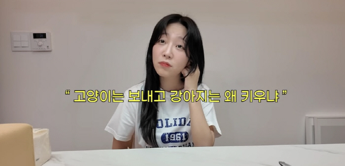 강아지 키우고 고양이 버렸냐…쯔양, 반려묘 유기 논란 입장 "햇빛 안들어…