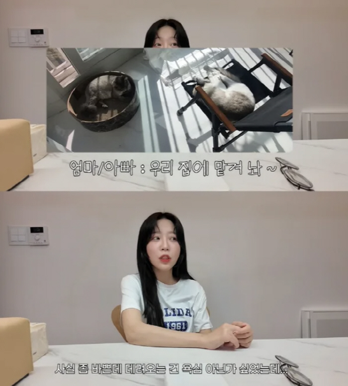 강아지 키우고 고양이 버렸냐…쯔양, 반려묘 유기 논란 입장 "햇빛 안들어…