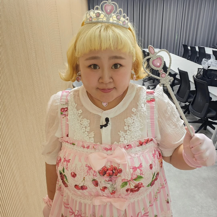 홍윤화, '27kg' 감량 전·후 같은 사람 맞나?...반쪽된 얼굴에 '…