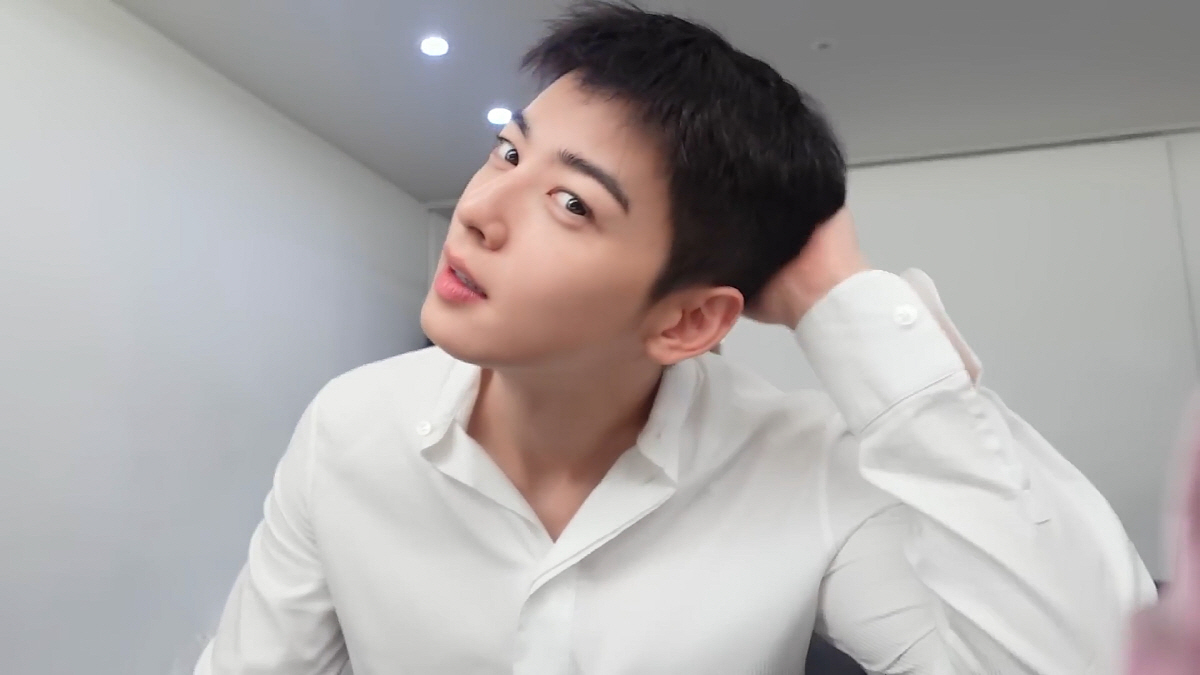 차은우, 입대전 마지막 모습 깜짝 공개…"연예인 아닌 일반인 이동민으로 …