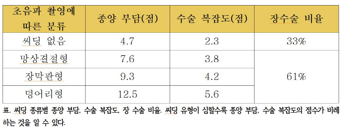 "간단한 초음파 검사만으로 '난소암 수술' 난이도 예측 가능"