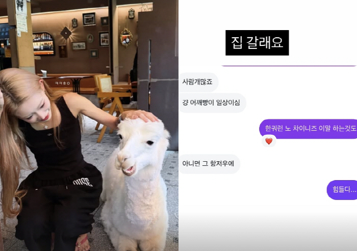 '故 최진실 딸' 김준희, '중국 여행 중 당한 일'에 진절머리 "집에 …