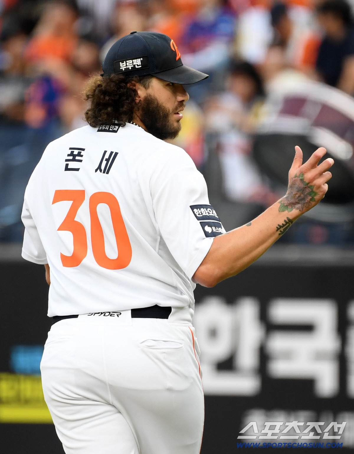'와 악의 제국까지' 폰세 보러 한국 왔다, ML 스카우트 영입전 치열……