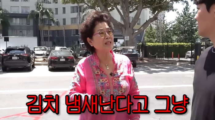 선우용여 "김치 냄새 난다며 손가락 욕…美서 인종차별 시달렸다"