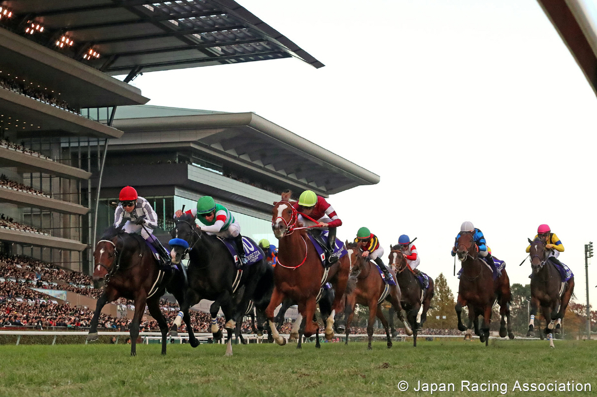 [경마]축제이자 일상, 세계 명문 경마장이 말하는 경마 문화