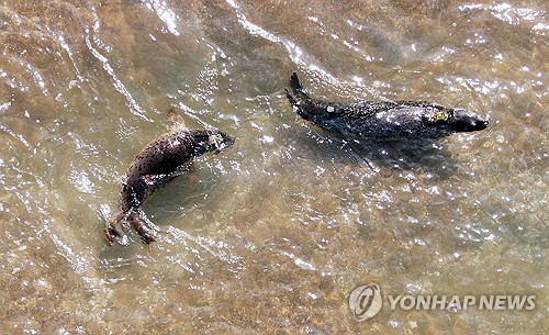 가로림만 생태공원 비전 논의…충남도, 용역 중간보고회