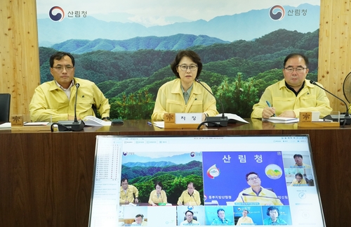 산림청, 여름철 산불 적극 대응…산불위험예보 '관심' 발령