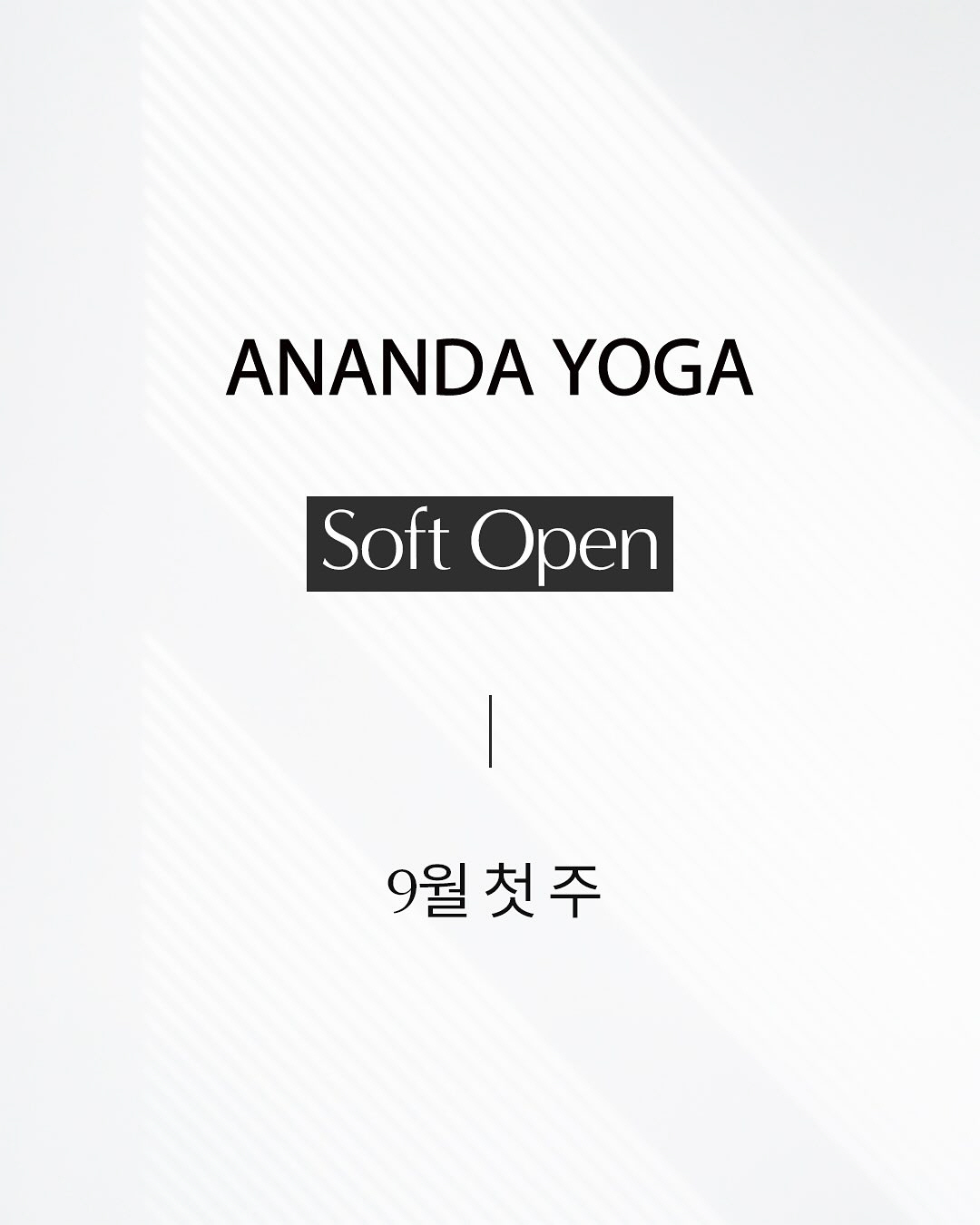 이효리, 9월 요가원 오픈...부캐 '아난다'로 직접 수업 진행 [공식]