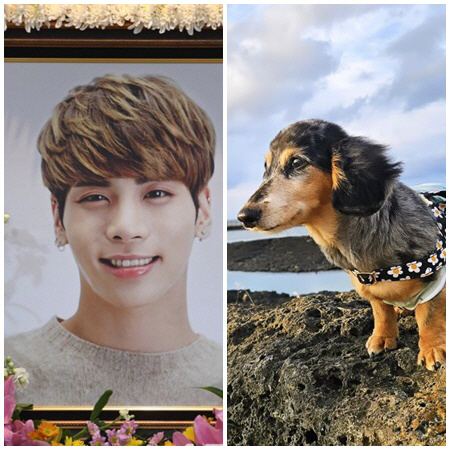 故샤이니 종현, 생전 아끼던 반려견 세상 떠나 "하늘에서 다시 만나 행복…