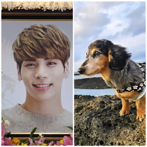 故샤이니 종현, 생전 아끼던 반려견 세상 떠나 