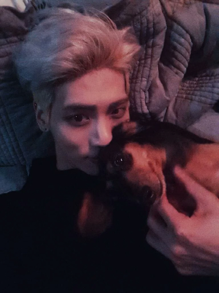 故샤이니 종현, 생전 아끼던 반려견 세상 떠나 "하늘에서 다시 만나 행복…