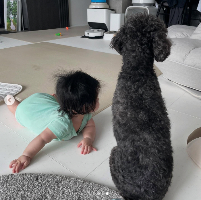 심형탁♥사야, 子 하루+반려견 김밥 투샷에 심쿵 "함께 아빠 쳐다봄"