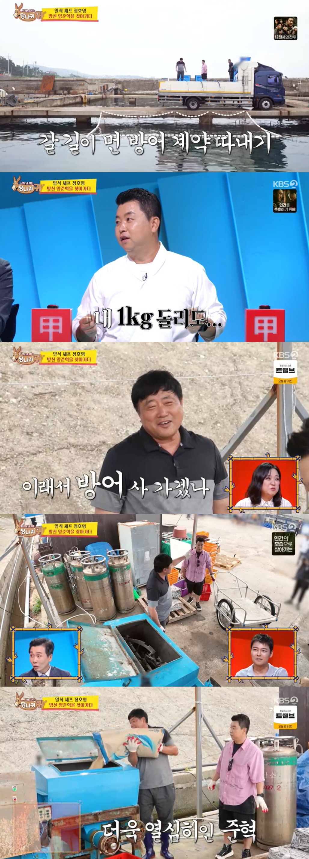 "연매출 30억" 양준혁, '금방어' 사업 성공했다.."수온 탓에 가격 …