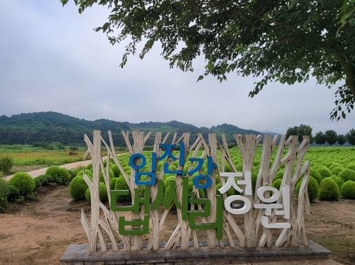 연천군, 82만5천㎡ 규모 '임진강 댑싸리 정원' 개장