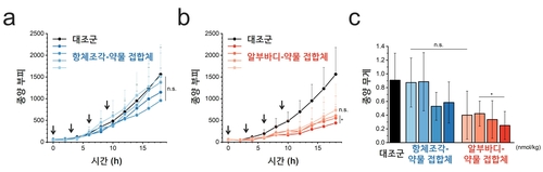 GIST 연구팀, 암세포 정밀 공격 항암제 플랫폼 개발