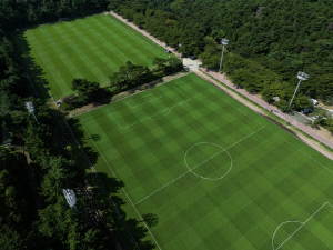 K리그1 울산이 도입한 난지형 잔디, 한여름 훈련에 끄떡없었다