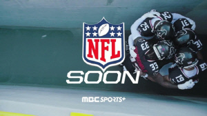 국내 NFL 두 전문가의 일치된 전망 