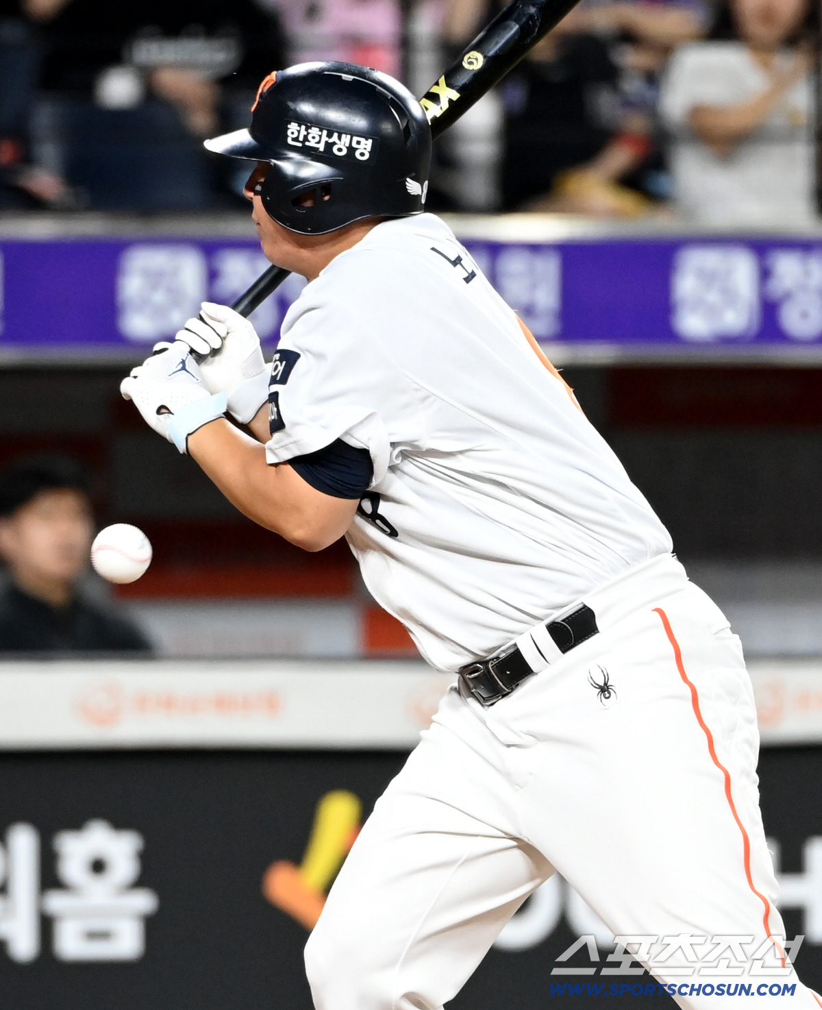 [포토] 사구 맞는 노시환
