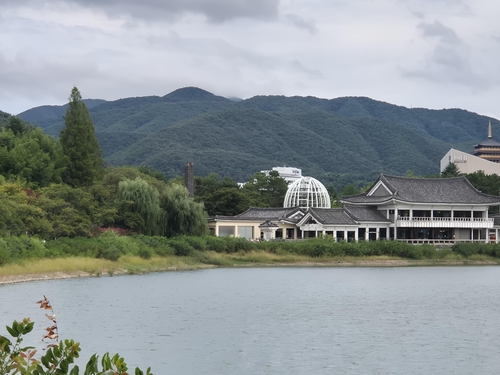 APEC 행사장 경주 보문관광단지, 경관 정비 막바지 공사 '피치'
