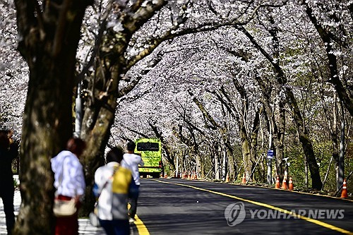 속초시, 월평균 체류 인구 73만명…주민등록 인구의 9배