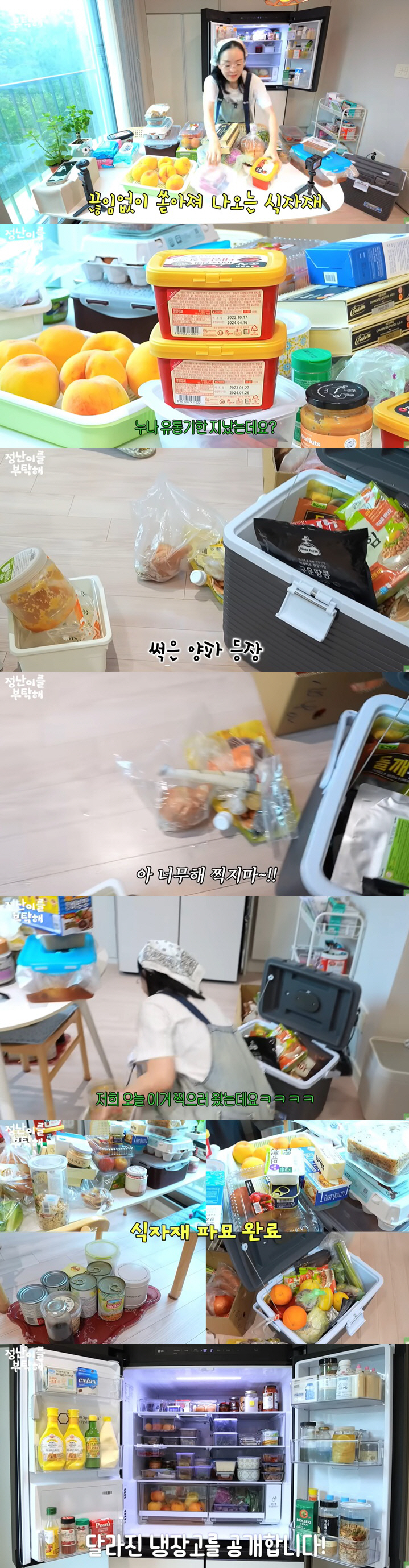 김정난, 냉장고 상태 경악..썩은 양파·유통기한 지난 재료 "촬영 그만"