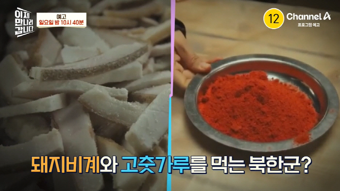 러시아 다큐 속 파병 북한군 충격 실태..“돼지 비계가 특별식” (이만갑…