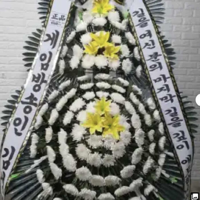 [종합]"충격적이고 허탈"…하리수→안영미, 故 대도서관 추모 물결
