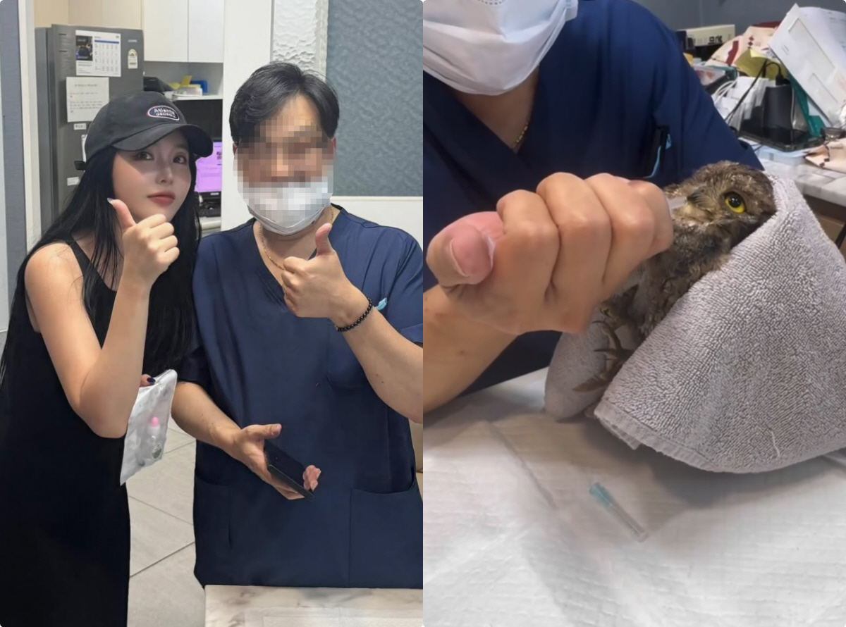 홍진영 깜짝 근황, 한밤중 천연기념물 살렸다..부엉이 구조→인계까지 직접…