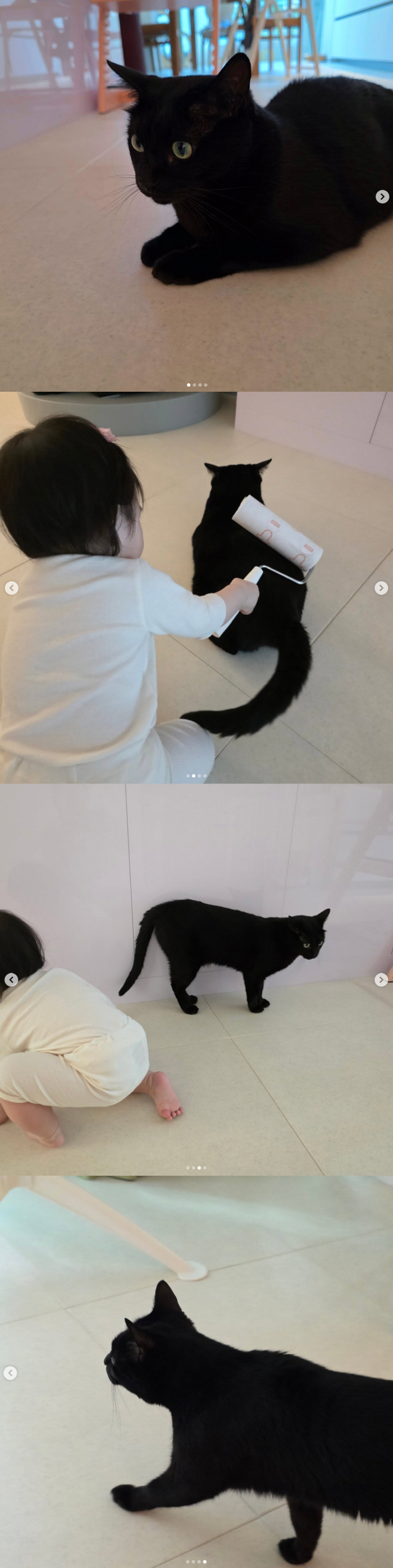 박수홍 고양이, 바람 잘 날 없네..1살 딸 '돌돌이' 그루밍에 "거리두기 실천 중"