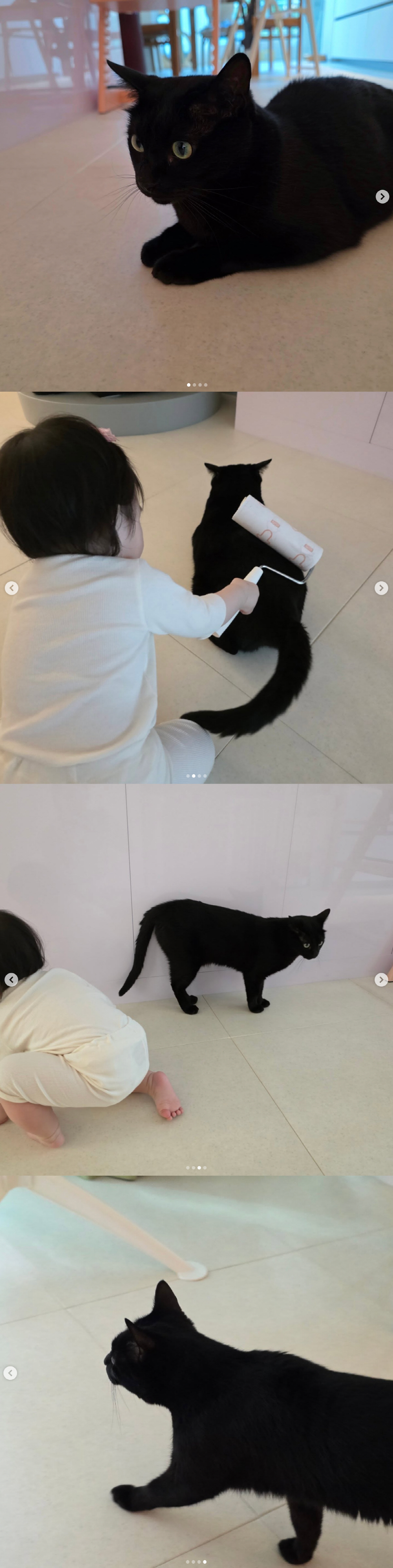 박수홍 고양이, 바람 잘 날 없네..1살 딸 '돌돌이' 그루밍에 "거리두…
