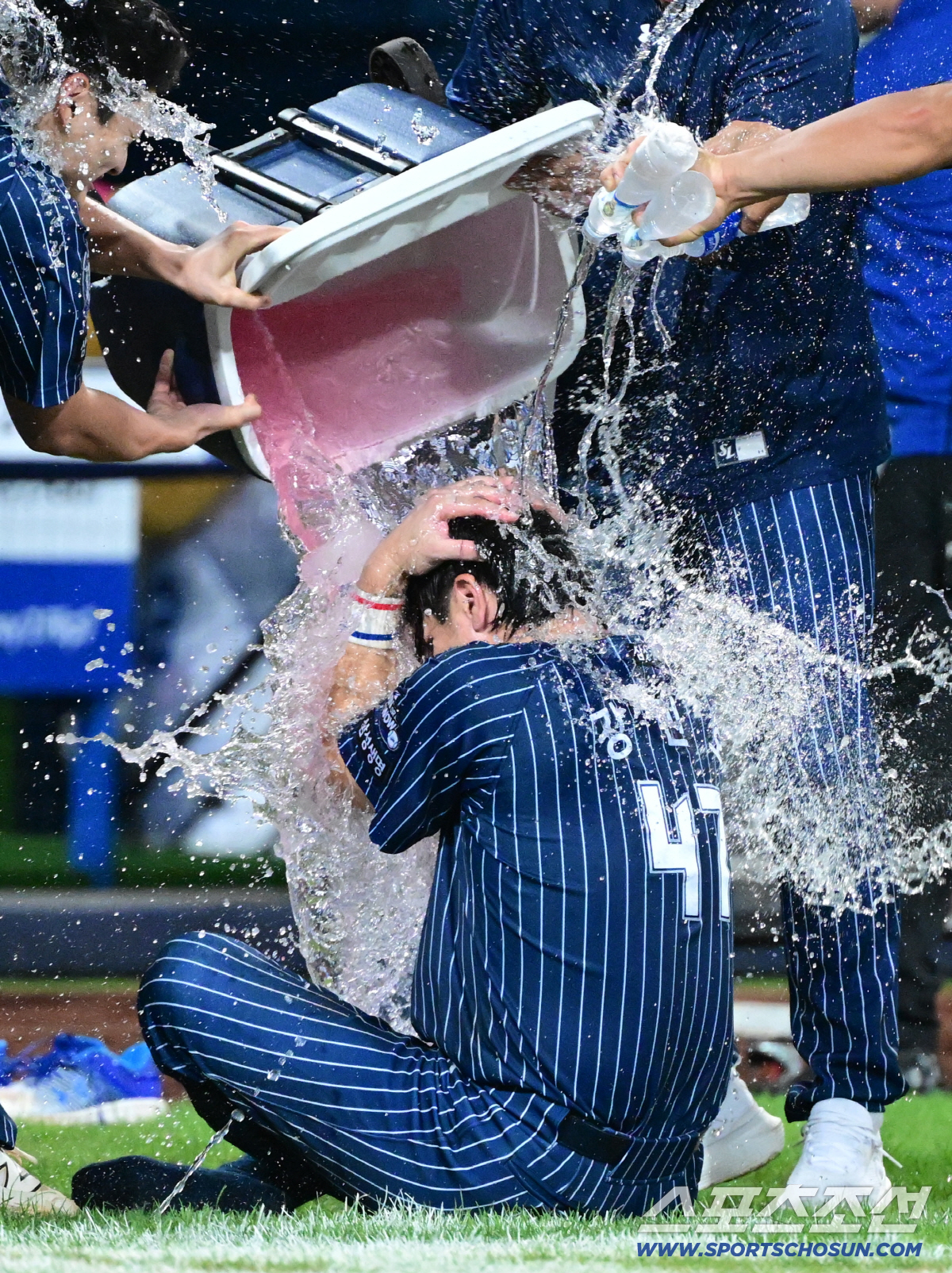 '이게 축하야?' 350홈런 강민호, 물세례 받다 아이스박스 머리 직격에…