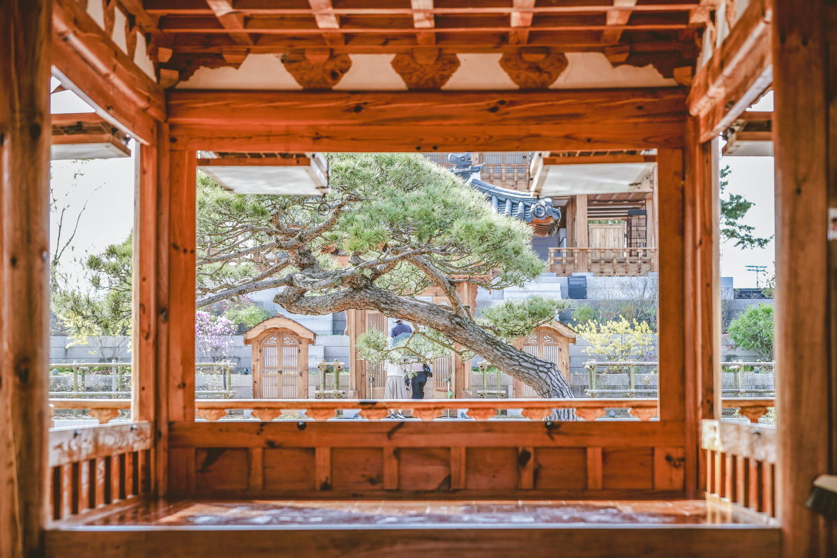 "가을 바람에 취한다" 세종·충북에서의 특별한 하루