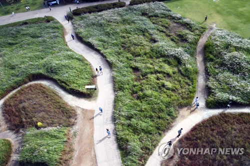 '바람에 핀 소금꽃'…20주년 시흥갯골축제 26~28일 개최