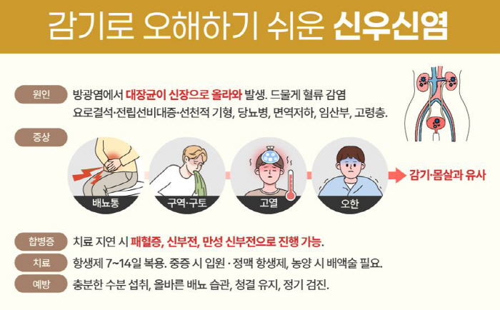 감기인 줄 알았는데 '신우신염'?…방치하면 패혈증·신부전 등 유발